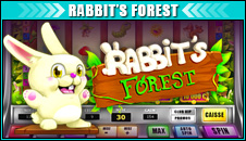 Rabbits forest