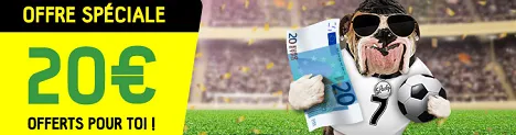Pariez en ligne pour gagner de l'argent