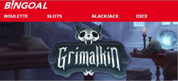 Nouveau jeu Halloween Grimalkin sur Bingoal