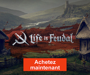 Fiche : Life is Feudal