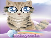 Shinycatz