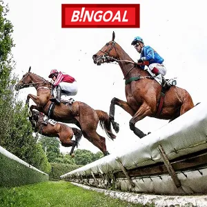 Bingoal paris hippiques