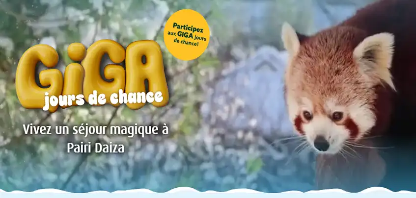 Gagnez un séjour de rêve en jouant à la loterie