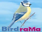 Birdrama