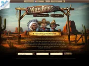 Wild Guns