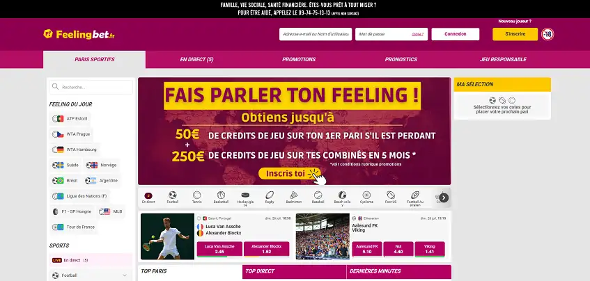 Aperçu de la plateforme Feelingbet sur ordinateur