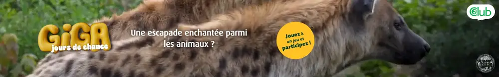 Visuel GIGA jours de chance montrant un animal à Pairi Daiza pour gagner un séjour ou des tickets Pairi Daiza