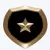 Logo statut Bronze du programme de fidélité de Starcasino