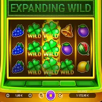 Symbole Expanding Wild