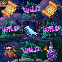 Symbole Wild