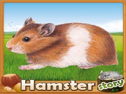 Fiche : Hamster Story
